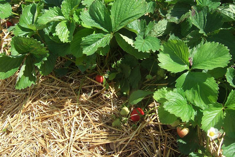 2011-05- (700).JPG